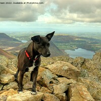 Buy canvas prints of Patterdale On Top by Jamie Green