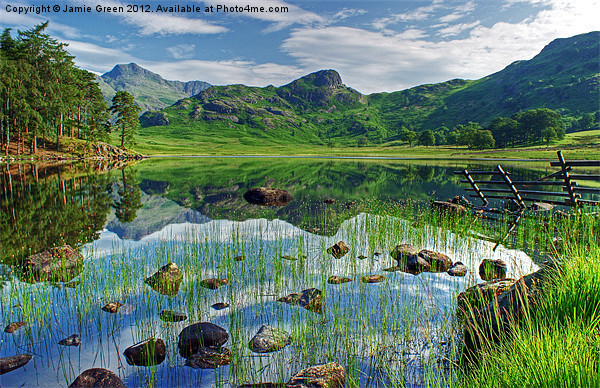 Blea Tarn,Lake District Picture Board by Jamie Green