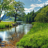 Buy canvas prints of A Summer Stream by Jamie Green