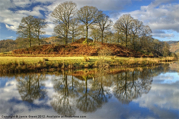 The Trees By The Brathay Picture Board by Jamie Green