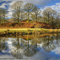Buy canvas prints of The Trees By The Brathay by Jamie Green
