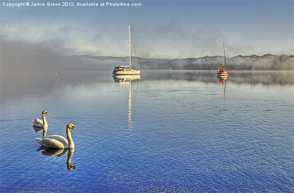 Swanning About On Windermere Picture Board by Jamie Green