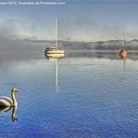 Buy canvas prints of Swanning About On Windermere by Jamie Green