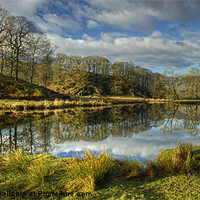 Buy canvas prints of The River Brathay by Jamie Green