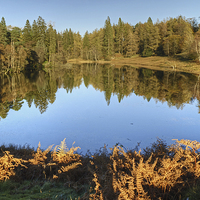 Buy canvas prints of Tarn Hows,Cumbria by Jamie Green