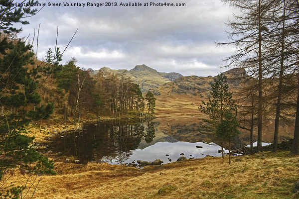 Blea Tarn,The Lake District Picture Board by Jamie Green