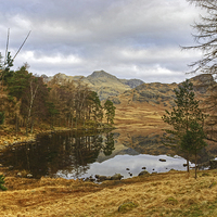 Buy canvas prints of Blea Tarn,The Lake District by Jamie Green