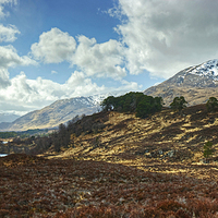Buy canvas prints of Glen Affric by Jamie Green