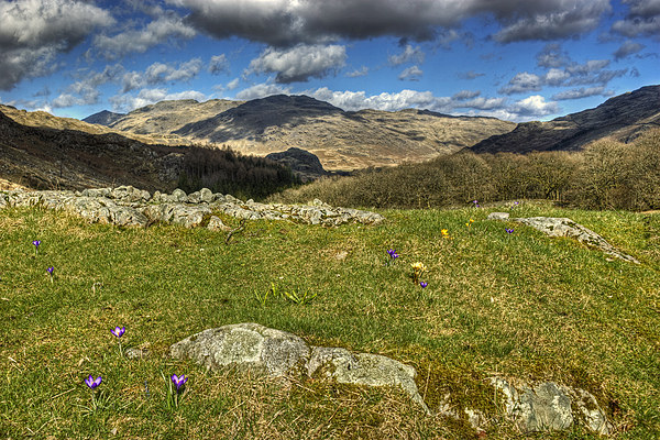 Spring In The Duddon Valley Picture Board by Jamie Green
