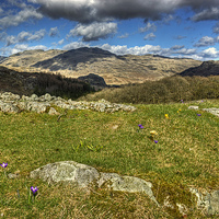 Buy canvas prints of Spring In The Duddon Valley by Jamie Green