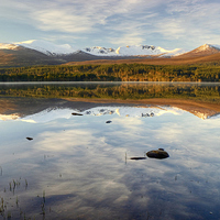 Buy canvas prints of Loch Morlich Scotland by Jamie Green