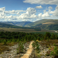Buy canvas prints of Glen Feshie In The Cairngorms by Jamie Green
