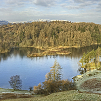 Buy canvas prints of Tarn Hows In February by Jamie Green