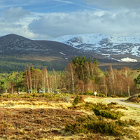 Buy canvas prints of Spring In The Cairngorms by Jamie Green