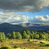 Buy canvas prints of Summer In The Cairngorms by Jamie Green