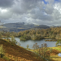 Buy canvas prints of Tarn Hows,The Lake District by Jamie Green