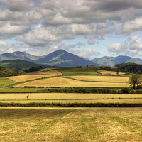 Buy canvas prints of Fells and Fields by Jamie Green