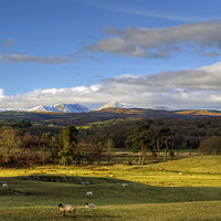 Buy canvas prints of  Coniston Fells From Rusland by Jamie Green