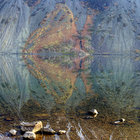 Buy canvas prints of  Flying Fish by Jamie Green