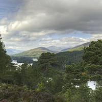 Buy canvas prints of Glen Affric Panorama  by Jamie Green