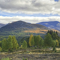 Buy canvas prints of  A Cairngorm Vista by Jamie Green