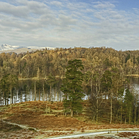 Buy canvas prints of  Tarn Hows in February by Jamie Green