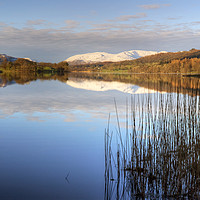 Buy canvas prints of Esthwaite Water, Cumbria by Jamie Green