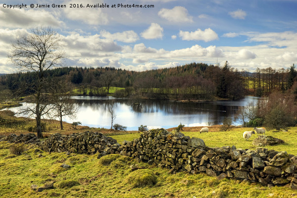 Moss Eccles Tarn Picture Board by Jamie Green