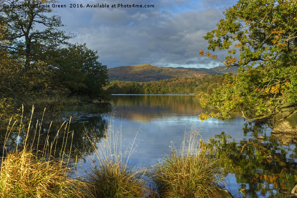 Rydal Water In Autumn Picture Board by Jamie Green