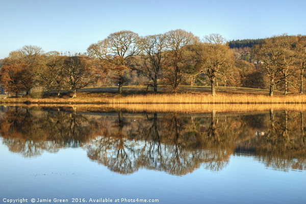 Esthwaite Water Reflections Picture Board by Jamie Green