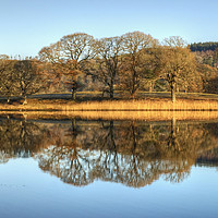 Buy canvas prints of Esthwaite Water Reflections by Jamie Green