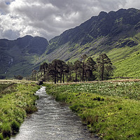 Buy canvas prints of Warnscale Beck by Jamie Green