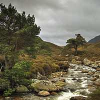 Buy canvas prints of The Am Beanaidh by Jamie Green