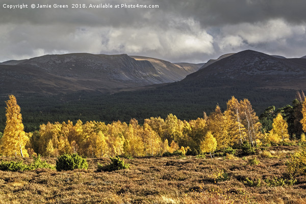 Autumn in the Cairngorms Picture Board by Jamie Green
