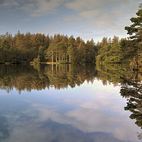 Buy canvas prints of The Tranquil Tarn by Jamie Green