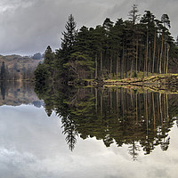 Buy canvas prints of Reflections in Tarn Hows by Jamie Green