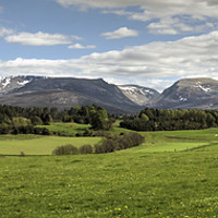 Buy canvas prints of Spring In The Cairngorms by Jamie Green