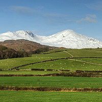 Buy canvas prints of The Snowy Fells by Jamie Green