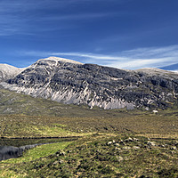 Buy canvas prints of Arkle by Jamie Green