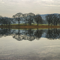 Buy canvas prints of Esthwaite Reflections by Jamie Green