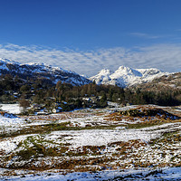 Buy canvas prints of Elterwater Common by Jamie Green