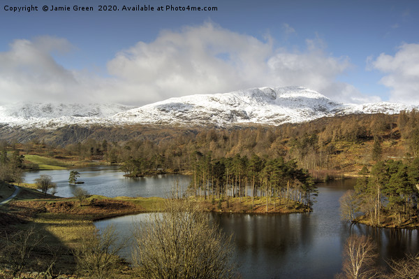 Tarn Hows in February Picture Board by Jamie Green