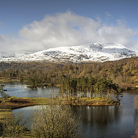 Buy canvas prints of Tarn Hows in February by Jamie Green
