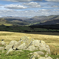 Buy canvas prints of A Duddon Panorama by Jamie Green
