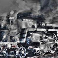 Buy canvas prints of  92203 "Black Prince" by Castleton Photographic