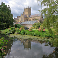 Buy canvas prints of  Wells Cathedral from the Bishops Palace   by Aidan Moran