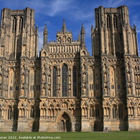 Buy canvas prints of Wells Cathedral, Somerset  by Aidan Moran