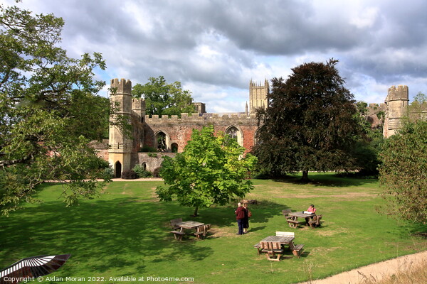 The Bishops Palace, Wells, England  Picture Board by Aidan Moran