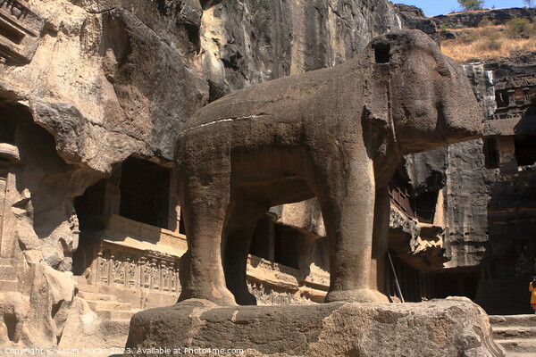 Elephant Sculpture at Kailash Temple Picture Board by Aidan Moran