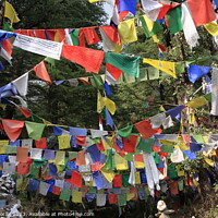 Buy canvas prints of Vibrant Prayer Flags Fluttering in the Wind by Aidan Moran